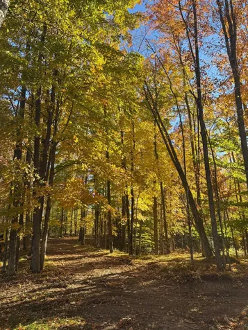 15744 Double B Lane Mountain WI 54149