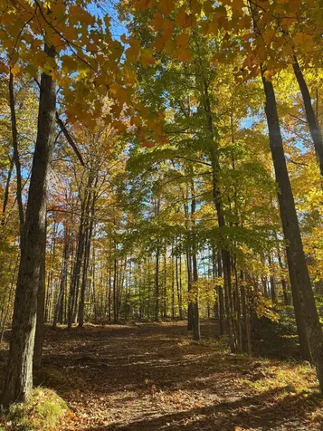 15744 Double B Lane Mountain WI 54149