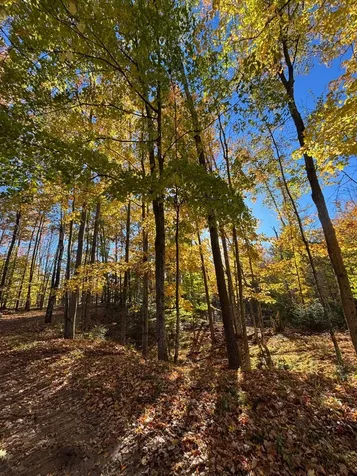 15744 Double B Lane Mountain WI 54149