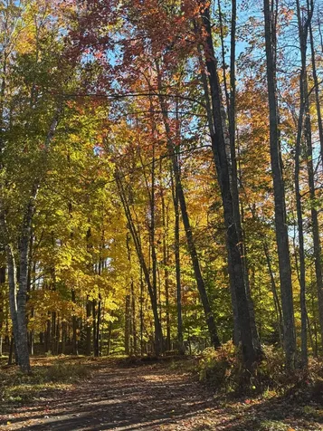 15744 Double B Lane Mountain WI 54149