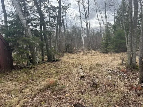 15744 Double B Lane Mountain WI 54149