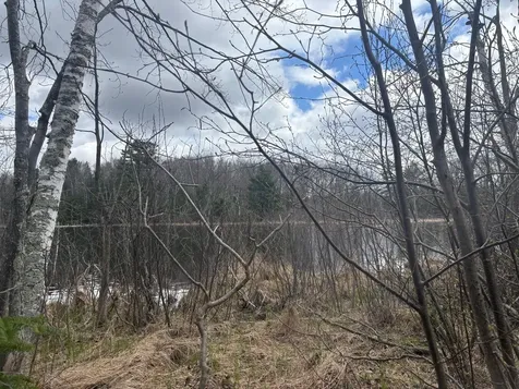 15744 Double B Lane Mountain WI 54149