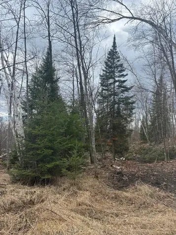 15744 Double B Lane Mountain WI 54149