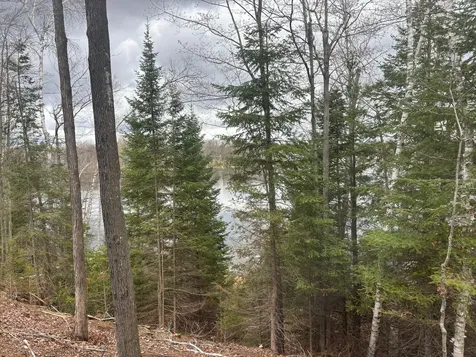 15744 Double B Lane Mountain WI 54149