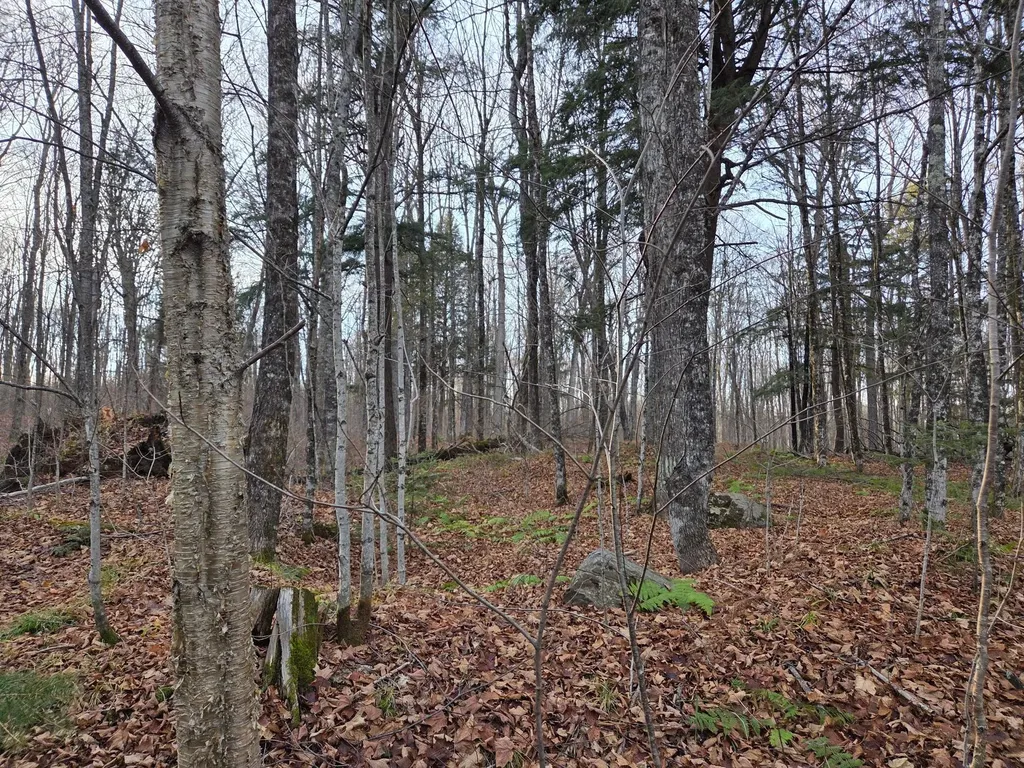 Off Forest Road 3979 Watersmeet MI 49969