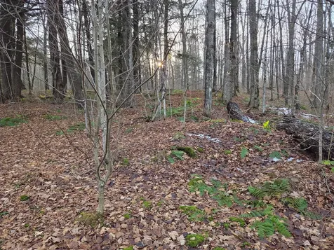 OFF Forest Road 3979 Watersmeet MI 49969