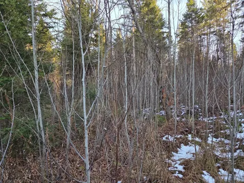 Off Forest Road 3979 Watersmeet MI 49969