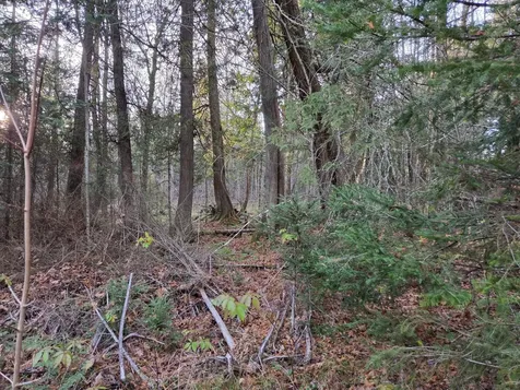 Off Forest Road 3979 Watersmeet MI 49969