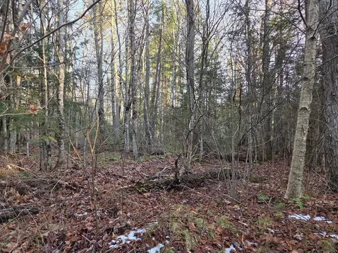 Off Forest Road 3979 Watersmeet MI 49969