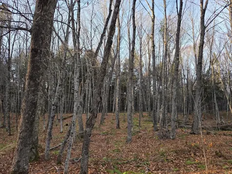 OFF Forest Road 3979 Watersmeet MI 49969