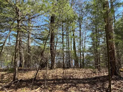 Lot 2 Silver Beach Drive Lac Du Flambeau WI 54538
