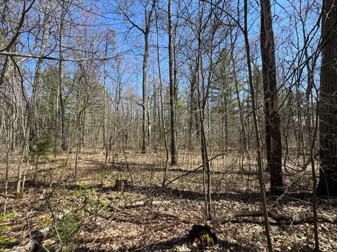 Lot 2 Silver Beach Drive Lac Du Flambeau WI 54538