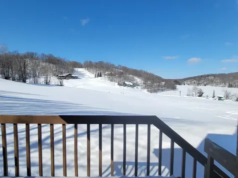 11923 Meadow Lane Upson WI 54565