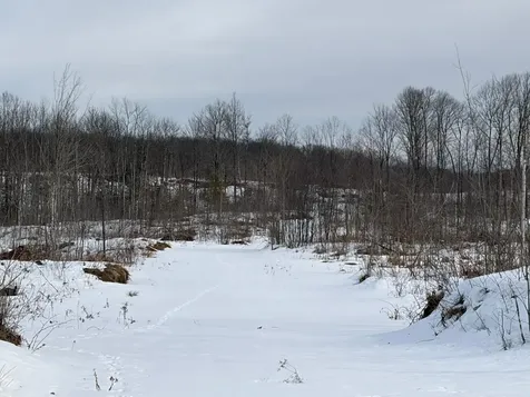 On Forest Drive W Ogema WI 54559