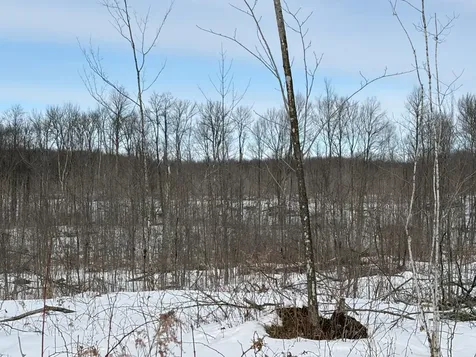 On Forest Drive W Ogema WI 54559