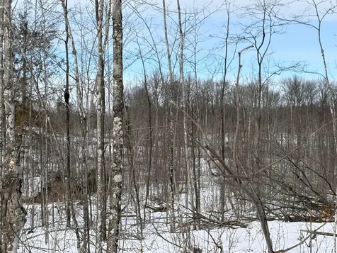 On Forest Drive W Ogema WI 54559