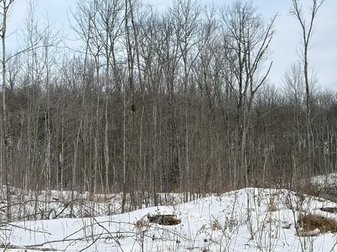 On Forest Drive W Ogema WI 54559