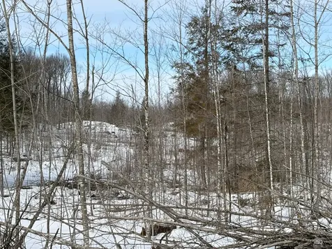 On Forest Drive W Ogema WI 54559