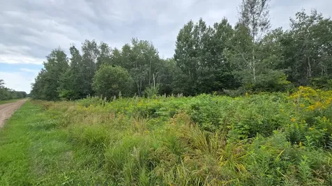 N6606 Rangeline Road Deerbrook WI 54424