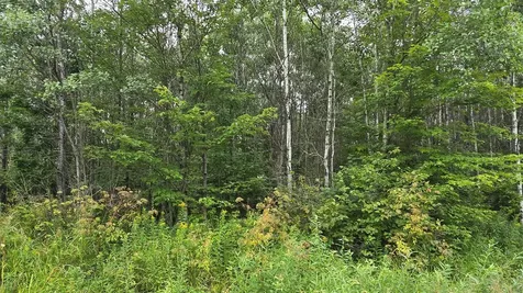 N6606 Rangeline Road Deerbrook WI 54424