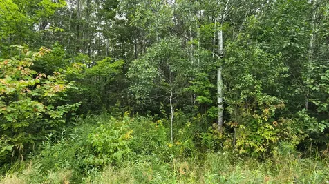 N6606 Rangeline Road Deerbrook WI 54424