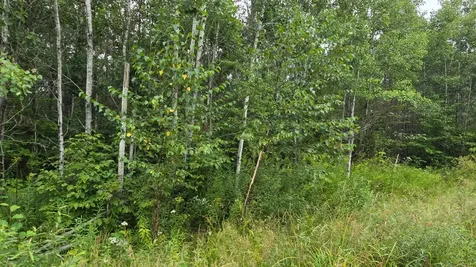 N6606 Rangeline Road Deerbrook WI 54424