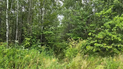 N6606 Rangeline Road Deerbrook WI 54424