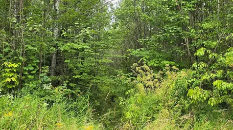 N6606 Rangeline Road Deerbrook WI 54424
