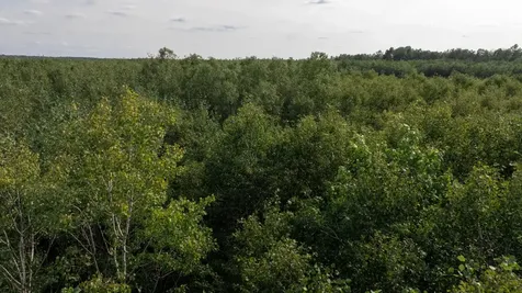 N6606 Rangeline Road Deerbrook WI 54424