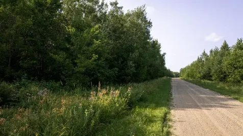 N6606 Rangeline Road Deerbrook WI 54424