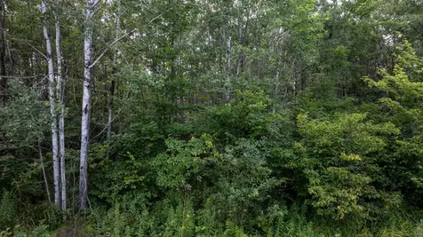 N6606 Rangeline Road Deerbrook WI 54424