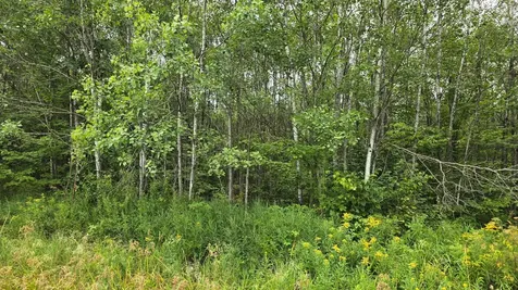 N6606 Rangeline Road Deerbrook WI 54424