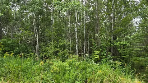 N6606 Rangeline Road Deerbrook WI 54424