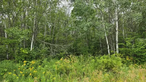 N6606 Rangeline Road Deerbrook WI 54424
