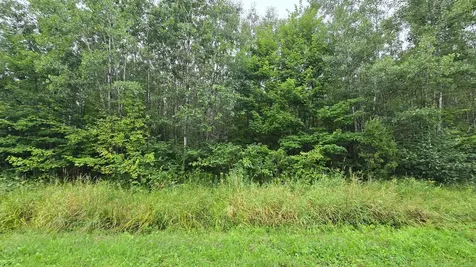 N6606 Rangeline Road Deerbrook WI 54424