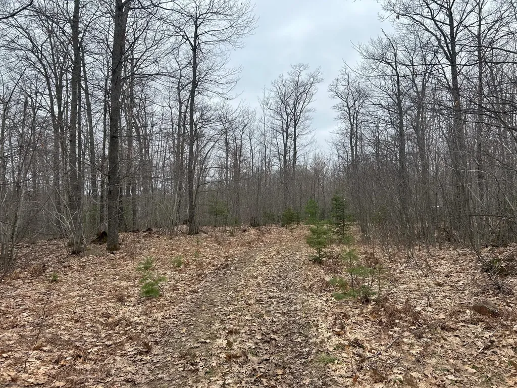 153 Acre Other Negaunee MI 49866