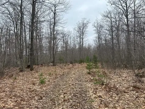 153 Acre Other Negaunee MI 49866