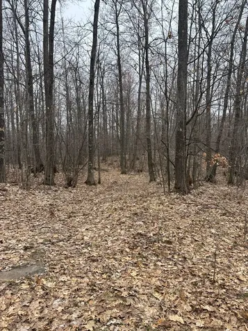 153 Acre Other Negaunee MI 49866