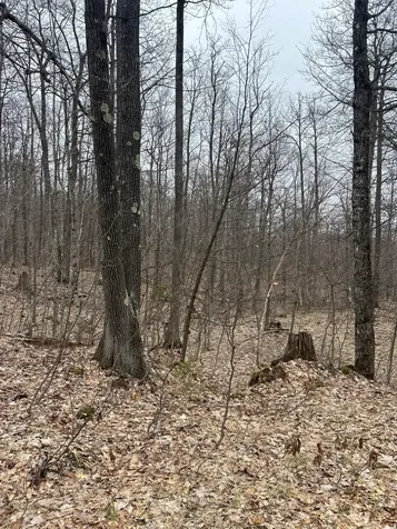 153 Acre Other Negaunee MI 49866