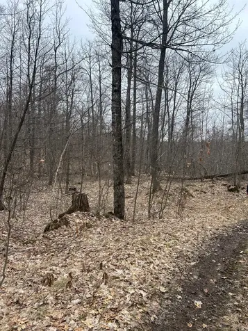 153 Acre Other Negaunee MI 49866