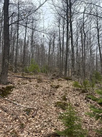153 Acre Other Negaunee MI 49866