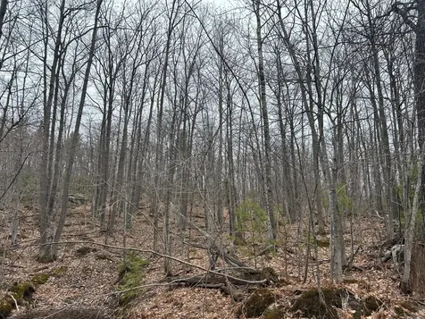 153 Acre Other Negaunee MI 49866