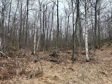 153 Acre Other Negaunee MI 49866