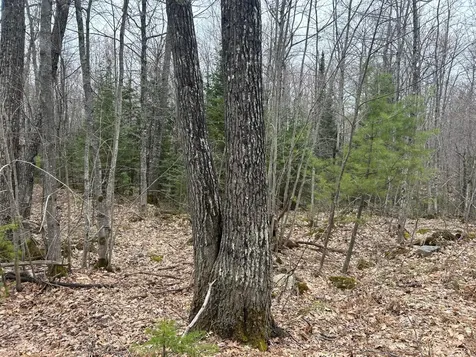 153 Acre Other Negaunee MI 49866