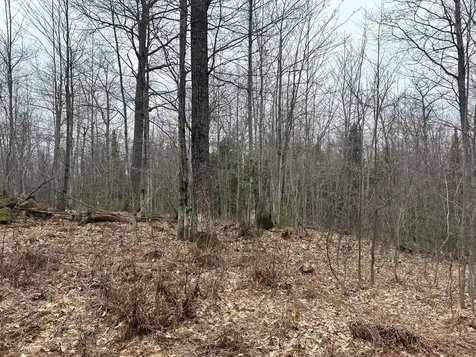 153 Acre Other Negaunee MI 49866