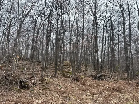 153 Acre Other Negaunee MI 49866