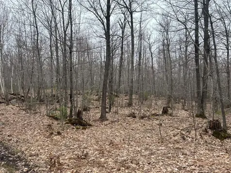 153 Acre Other Negaunee MI 49866