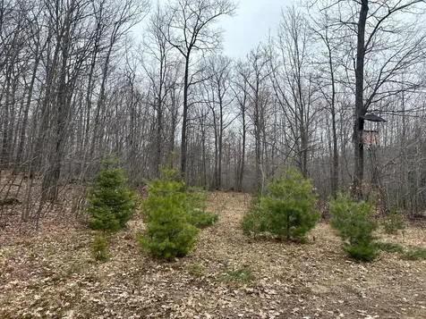 153 Acre Other Negaunee MI 49866
