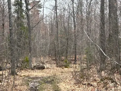 153 Acre Other Negaunee MI 49866