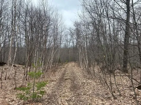 153 Acre Other Negaunee MI 49866